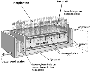 2011233 Doorsnede Helofytenfilter (bron: Elsevier Waterwijzer - Hemelwater in de praktijk 2004)