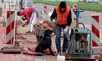 11291_2 Gemeenten kiezen vaker SEB-erkende bestratingbedrijven