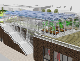 11401 Daktuin Rotterdam 2