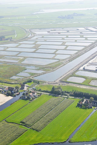 Witteveen en bos