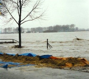 n12081 Herstel en onderhoud aan dijken, overstroming